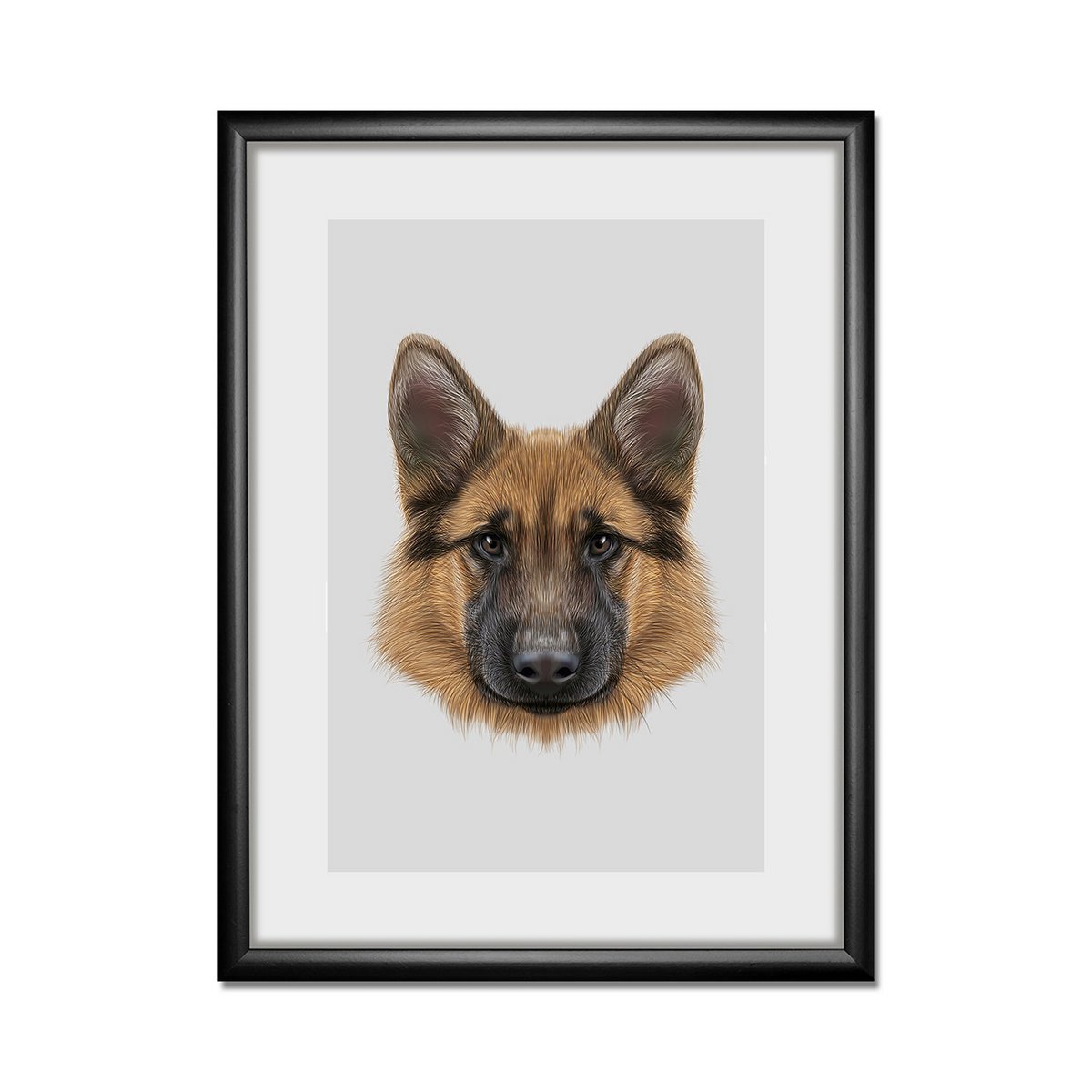 Lijstfoto Herdershond