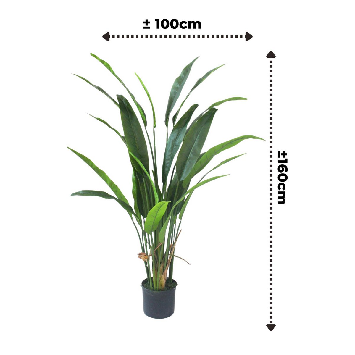 Strelitzia Kunstplant 160cm