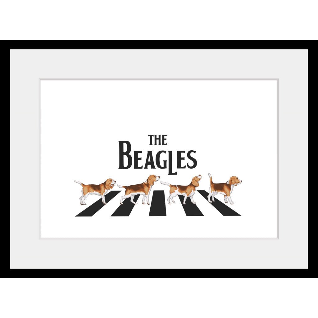 Lijstfoto - De Beagles