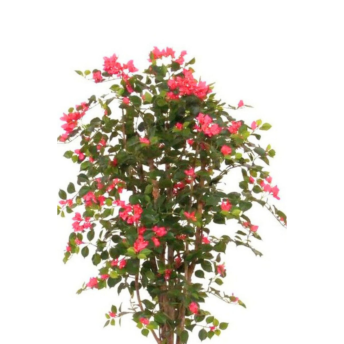 Bougainvillea Kunstplant 180cm