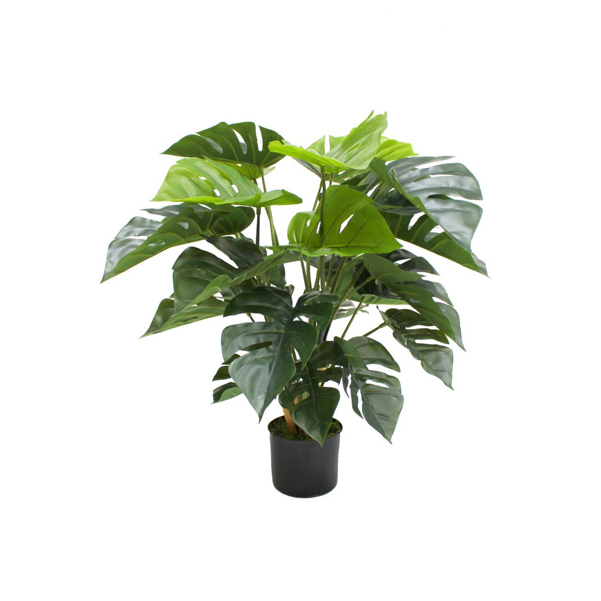 Monstera Kunstplant 65cm