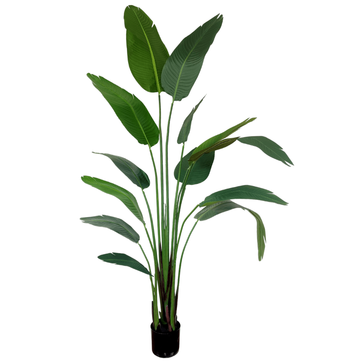 Strelitzia Kunstplant 210cm