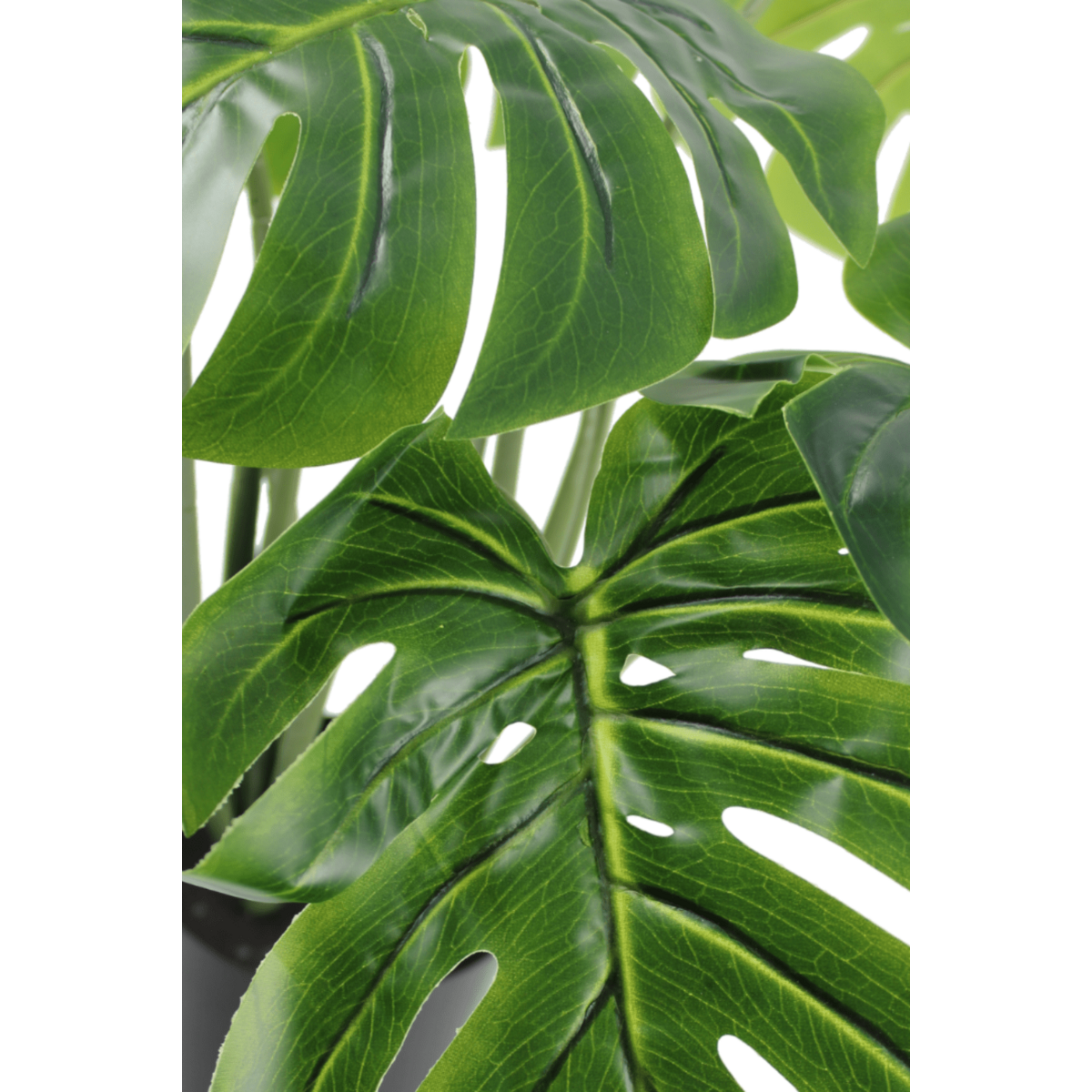 Monstera Kunstplant 65cm