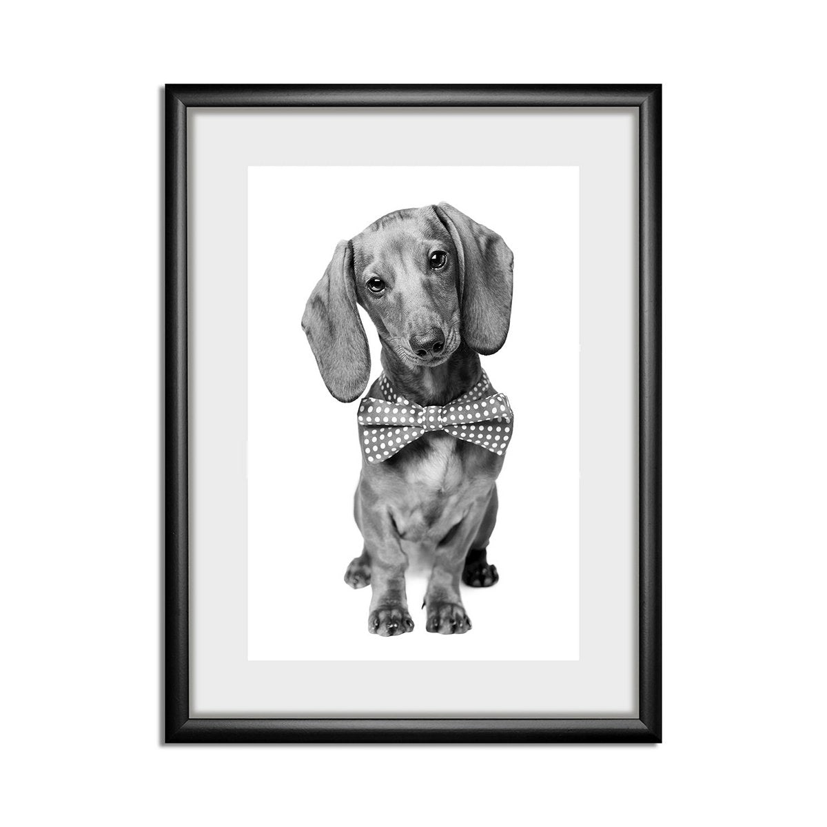 Lijstfoto Teckel