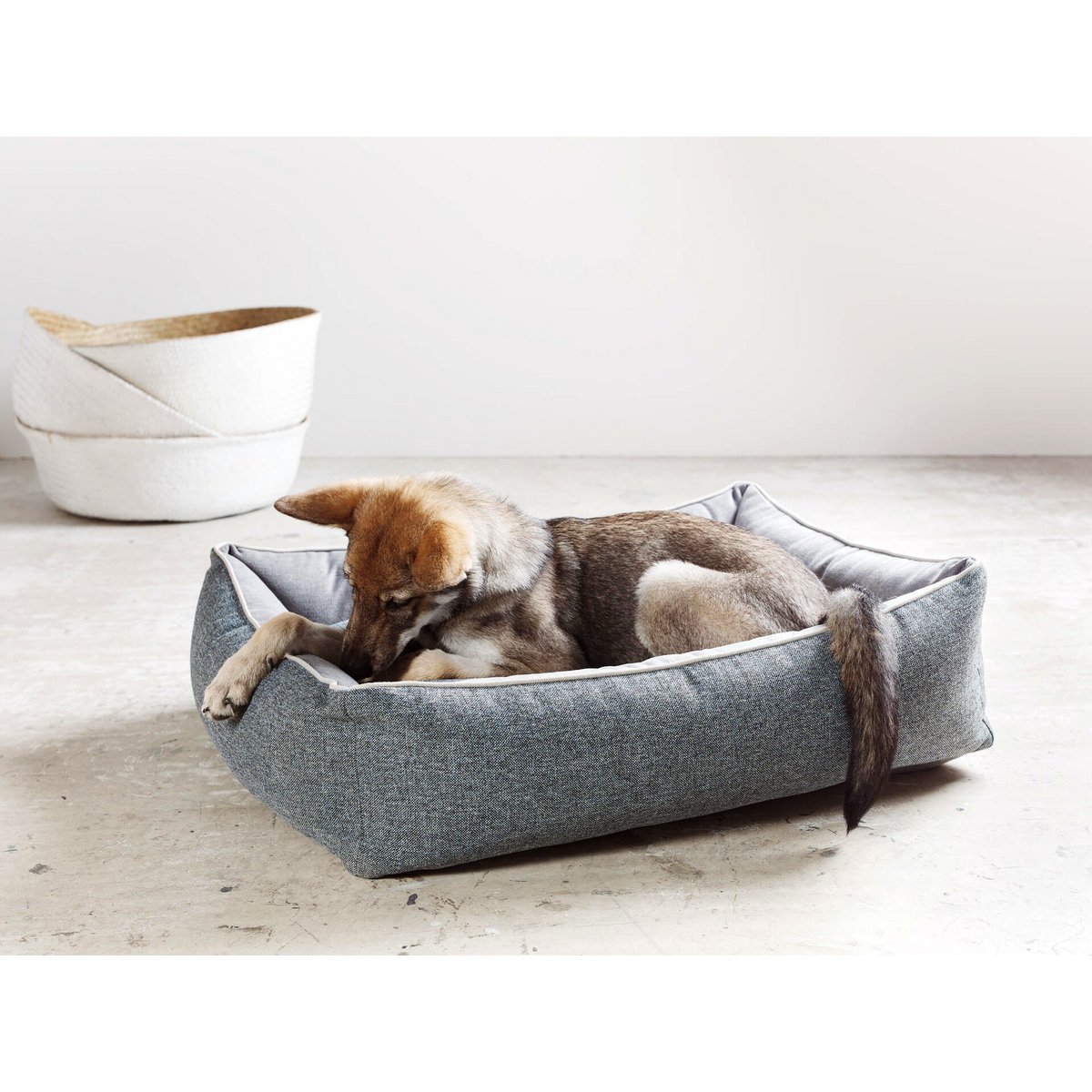 ORTHO hondenbed - SCALA