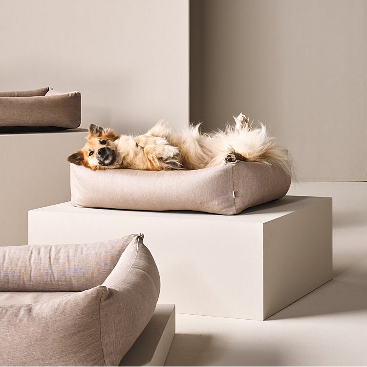 BUITEN Hundebett - GLADDE LINO