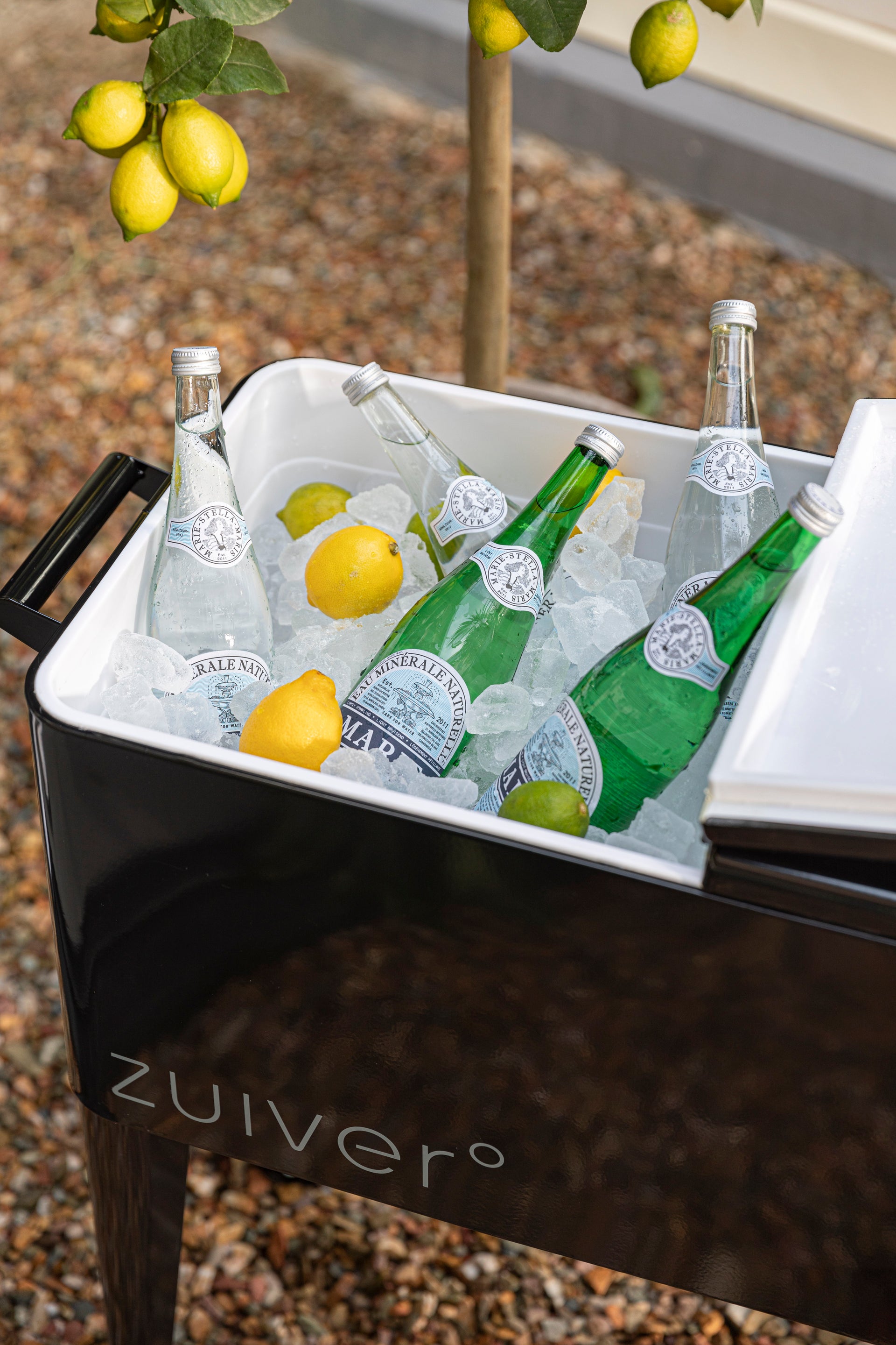 Coolbox Cooler Be Cool
