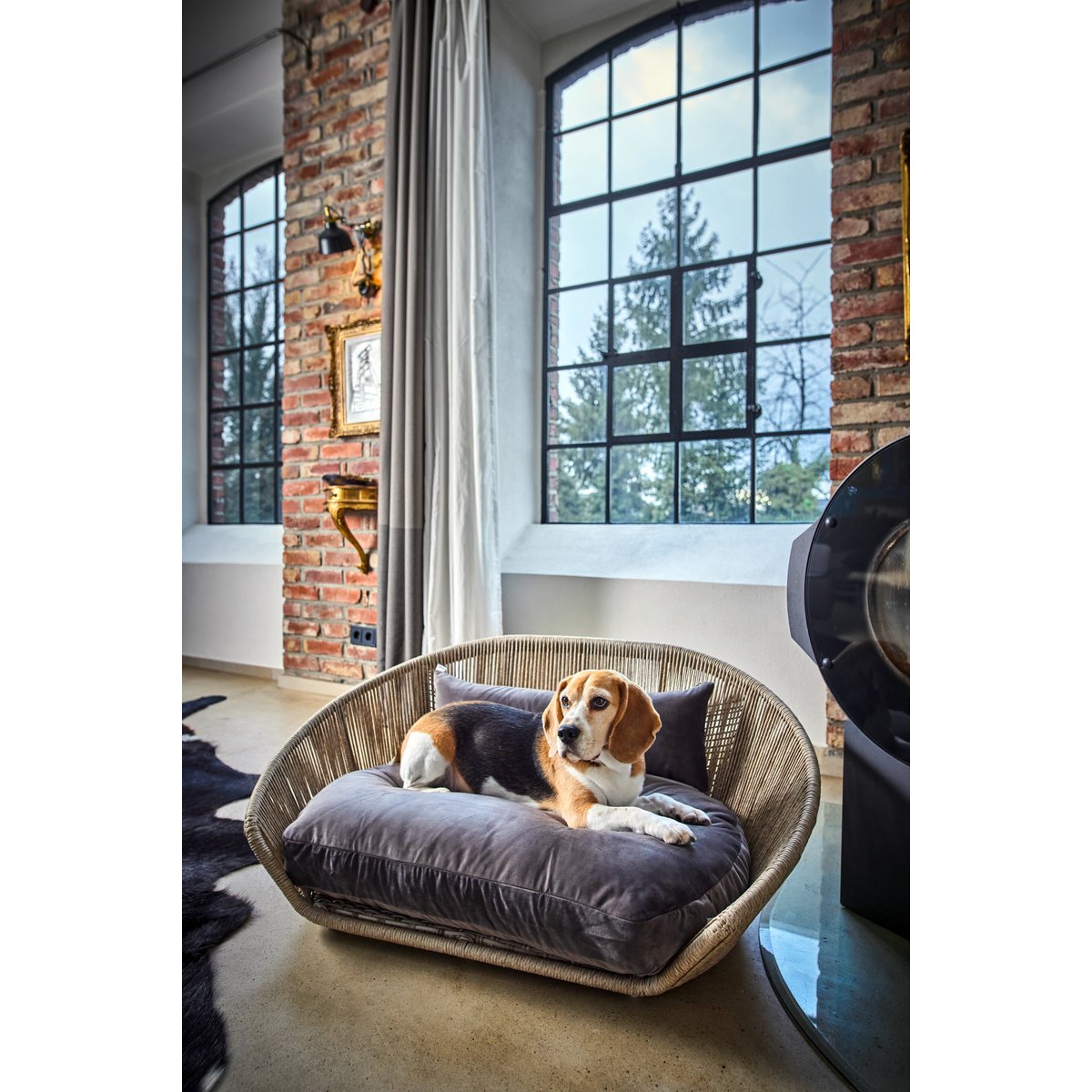 VOGUE - Design hondenmand OXFORD