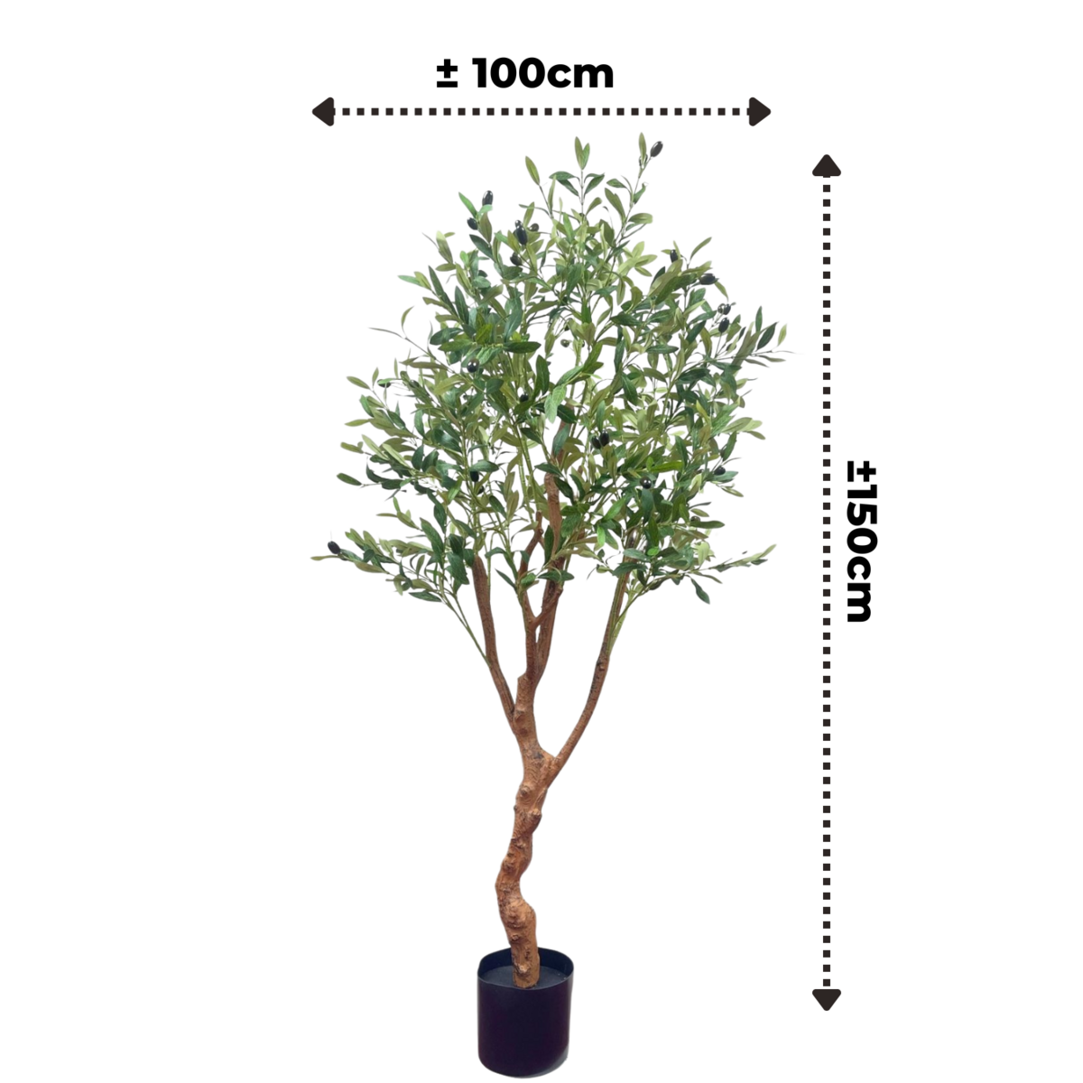 Kunst Olijfboom 150cm (lichte stam)