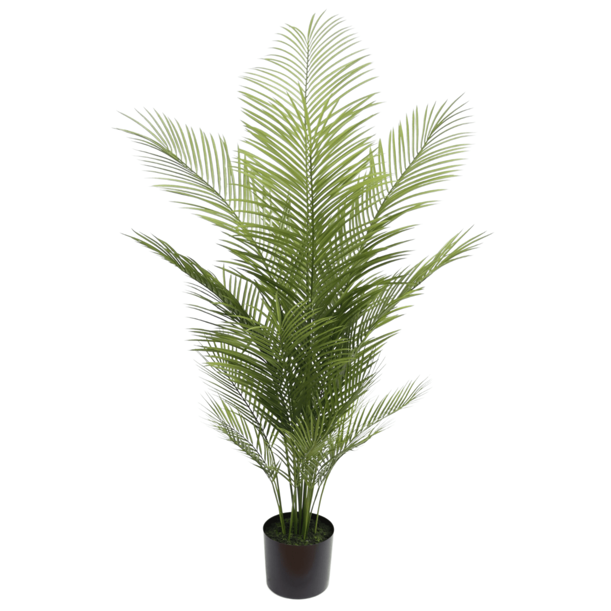 Kunstpalm 150cm