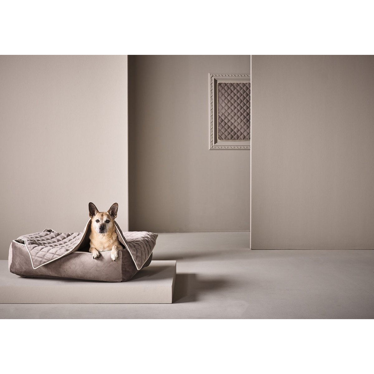 OXFORD Taupe deken - duurzame hondendeken in een elegante fluwelen look